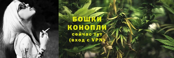 ешки Инта