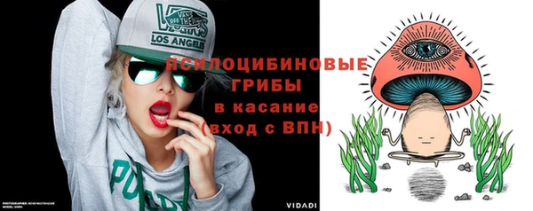 ешки Инта