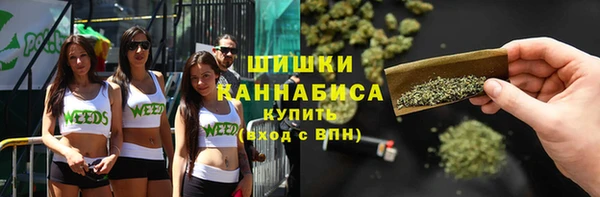 амф Зеленокумск