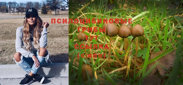 ешки Инта