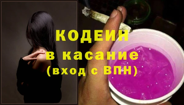 прущие грибы Инсар
