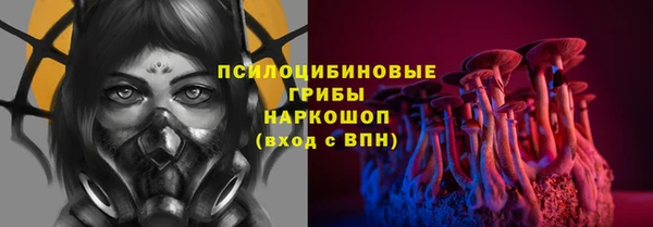 прущие грибы Инсар