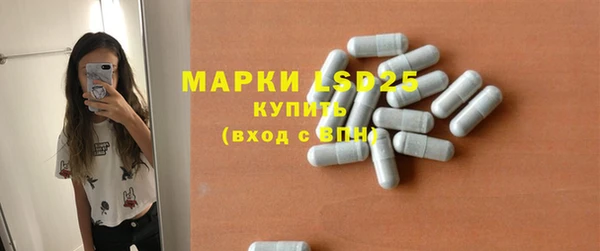 прущие грибы Инсар