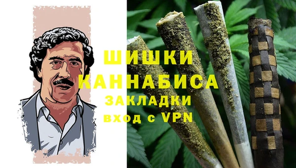 прущие грибы Инсар