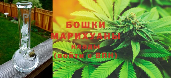 ешки Инта