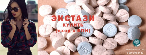 ешки Инта