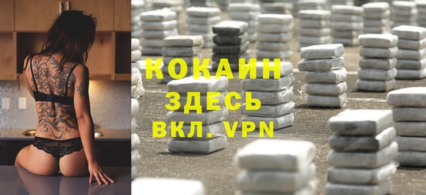 прущие грибы Инсар