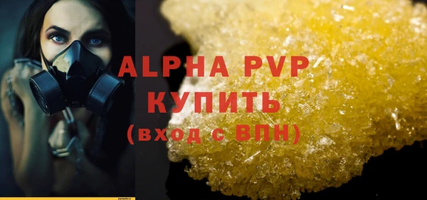 ешки Инта